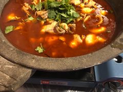 石锅鱼-虎虎龙虾大排档(双井店)