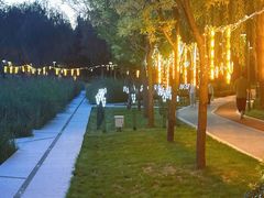 -中关村生命科学园