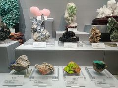 -湖南省地质博物馆
