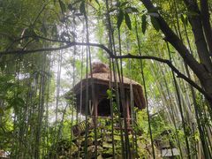 -成都杜甫草堂博物馆
