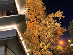 -周记炒货·山核桃·甘栗(武林店)