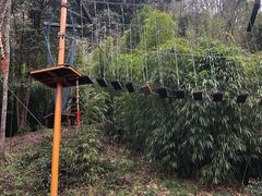 -修水东浒寨风景区