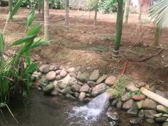 -第五季龙水凤港生态露营农场