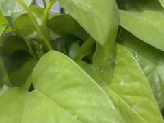 -浅深(世茂滨江精品店)