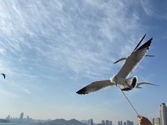 -星海广场