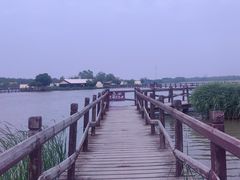 -西青郊野公园
