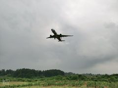 -空港花田景区