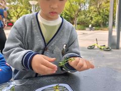 -豆初托育园 Baby Bean Day care Center