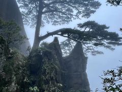 -黄山风景区