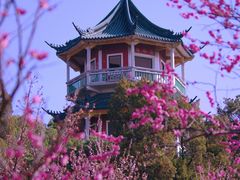 -无锡梅园公园