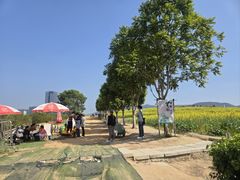 -光明小镇欢乐田园