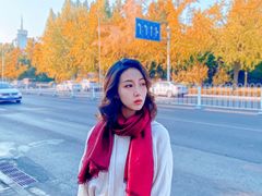 -三里屯东五街银杏大道