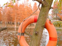 -白鹭湾湿地公园