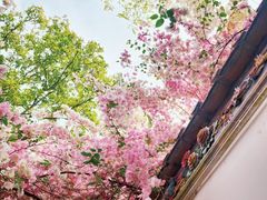 -深圳国际园林花卉博览园