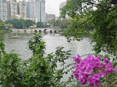 -荔湾湖公园