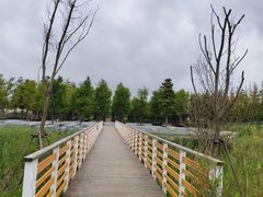 -春花秋色城市公园