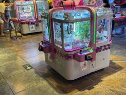 -卡通尼·Safari非洲探索乐园·生日会(金桥国际商业广场店)