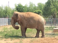 -石家庄市动物园