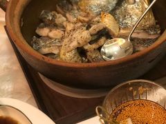 -人间采蜜(海信广场店)