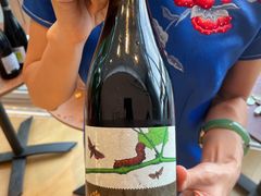 -识酒猫 x SNAP(国贸商城店)