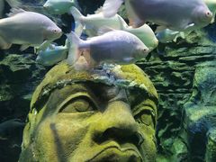 -成都浩海立方海洋公园