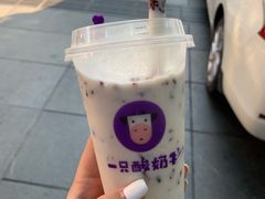 -一只酸奶牛(八一路店)