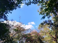 -攀枝花公园