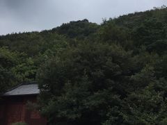 -连云港云龙涧原生态风景区