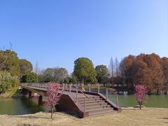 -梁鸿国家湿地公园