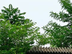 -壳牌加油站(北宫门站)