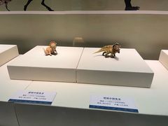 -天津自然博物馆