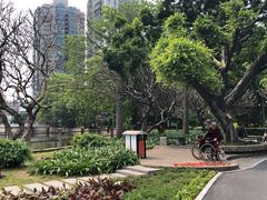 -晓港公园