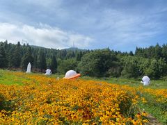 -武陵山森林公园