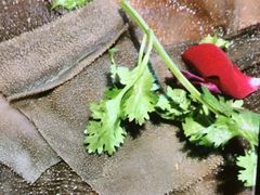 -渝厨生态火锅(合川区府店)