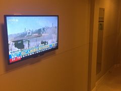 -白玉兰商务酒店(上海陆家嘴滨江店)