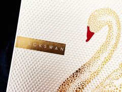 -BLACKSWAN黑天鹅(环球店)