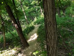 -阳台山自然风景区