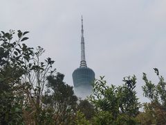 -梧桐山风景名胜区