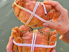 -品鲜村农家菜·阳澄湖大闸蟹(总店)