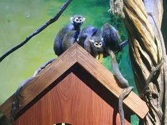 -华夏文旅海洋公园