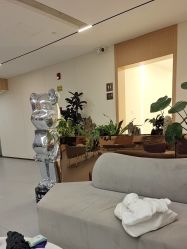 -上海伊莱美医疗美容医院