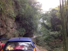iphone_upload_pic-芦沟竹海