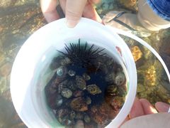 -西涌国际滨海旅游区