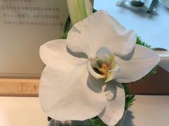 -粤界(望京金辉店)