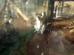 -泉州海丝野生动物世界