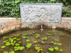 -深圳龙潭公园