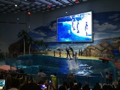 -福州罗源湾海洋世界旅游区