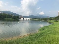 -飞来湖湿地公园