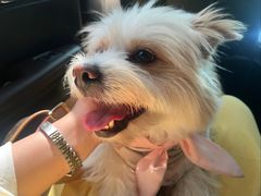 -博特宠物医院24h犬猫全科.骨科·异宠