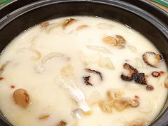 -喜上喜鸡煲翅(吉大店)